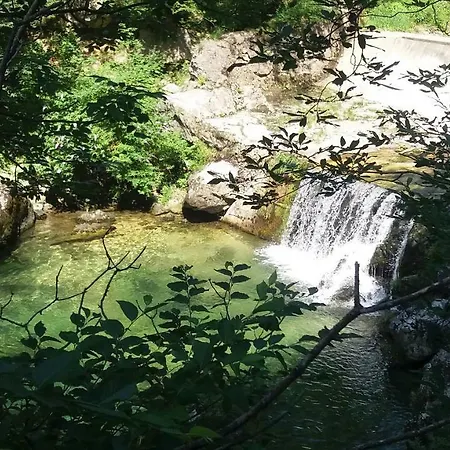 Le Farfalle - Un Angolo Di Quiete A Laghi In Provincia Di Vicenza * Stalle Comparetti