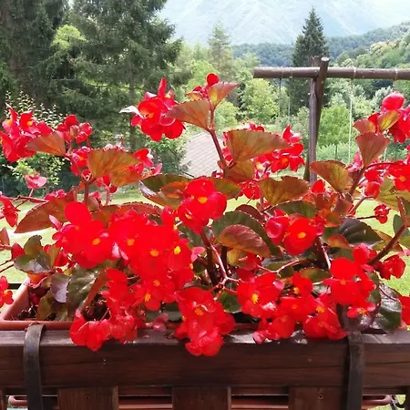 Le Farfalle - Un Angolo Di Quiete A Laghi In Provincia Di Vicenza Stalle Comparetti